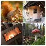 De Meute Holiday With Sauna & Jacuzzi! Vielsalm